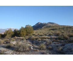 3 FINCAS RUSTICAS A LA VENTA EN PUEBLA DE DON FABRIQUE (GRANADA)