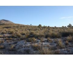 3 FINCAS RUSTICAS A LA VENTA EN PUEBLA DE DON FABRIQUE (GRANADA)