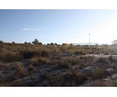 3 FINCAS RUSTICAS A LA VENTA EN PUEBLA DE DON FABRIQUE (GRANADA)