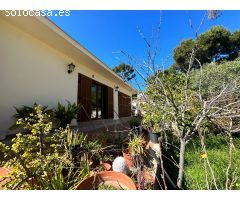 EN VENTA, FANTASTICA PARCELA PARA NUEVA CONSTRUCCIÓN EN SANTA PONÇA