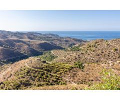 Finca con frutales, vistas y construcciones