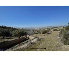 CORTIJO CON FINCA DE OLIVOS