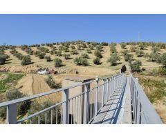 CORTIJO CON FINCA DE OLIVOS