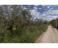???? ¡Oportunidad Única en La Zubia! Terreno Rústico con Vistas Espectaculares a Sierra Nevada ?????