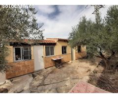 ¡EXCELENTE CHALET EN PARTIDA DE ALGODA!