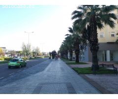 LOCAL EN AVDA. DE ELVAS