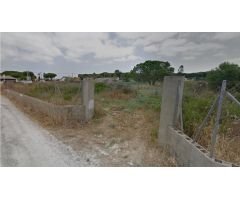 PARCELA SEGREGADA JUNTO A LAS QUINTAS