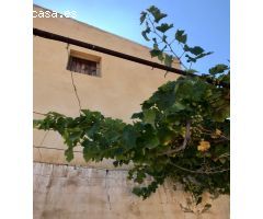CHALET URBANO ELCHE