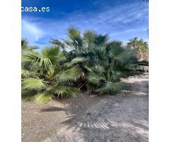 Terreno rural en zona residencial