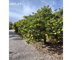 Terreno rural en zona residencial