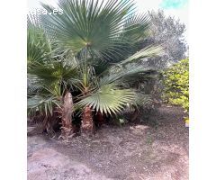 Terreno rural en zona residencial