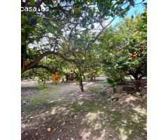 Terreno rural en zona residencial