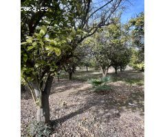 Terreno rural en zona residencial