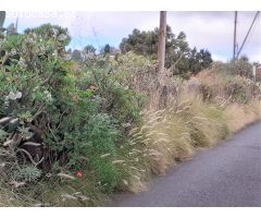 SE VENDE TERRENO EN TAFIRA