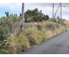 SE VENDE TERRENO EN TAFIRA