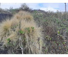 SE VENDE TERRENO EN TAFIRA