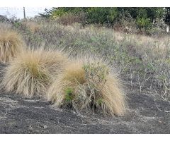 SE VENDE TERRENO EN TAFIRA