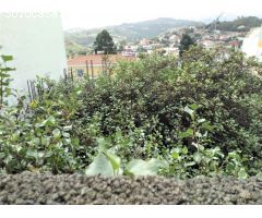 MONTE LENTISCAL: EN VENTA SOLAR URBANO