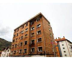 Se vende Bonito Piso Reformado en Zona Arrigorriaga - La Peña