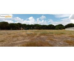 SE VENDE TERRENO CON NAVE EN SARDÓN DE DUERO (VALLADOLID)