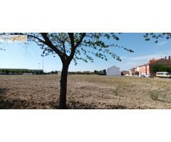 SE VENDEN PARCELAS EN MOJADOS (VALLADOLID)