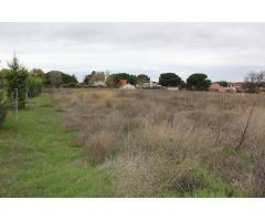 VENTA de TERRENO en Tudela de Duero