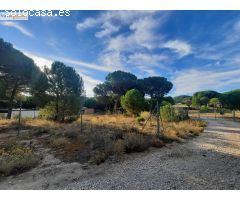 EN VENTA TERRENO RÚSTICO, TUDELA DE DUERO