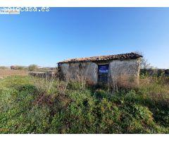 SE VENDE TERRENO RUSTICO EN TUDELA DE DUERO