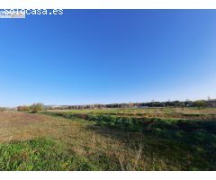 SE VENDE TERRENO RUSTICO EN TUDELA DE DUERO