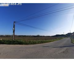 SE VENDE TERRENO RUSTICO EN TUDELA DE DUERO