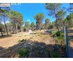 TERRENO RÚSTICO EN VENTA. ENTRE LOS MUNICIPIOS DE VIANA Y BOECILLO