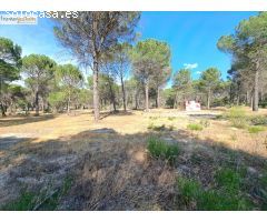 TERRENO RÚSTICO EN VENTA. ENTRE LOS MUNICIPIOS DE VIANA Y BOECILLO