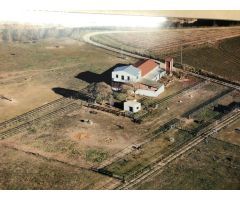 FINCA DE RECREO EN VENTA EN VALORIA LA BUENA