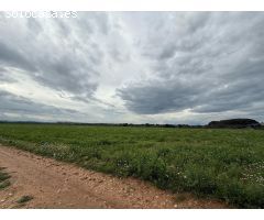 Parcela en Venta en Siurana, Girona
