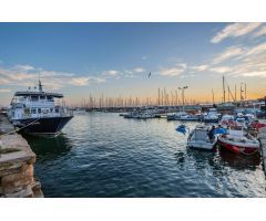 Oportunidad de villa de lujo con más de 500m2 de vivienda Torrevieja