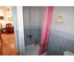 CHALET INDEPENDIENTE, 5 DORMITORIOS, GRAN JARDÍN CON PISCINA + ALOJAMIENTO (independiente)