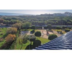 Ático en Torrevieja (Aguas Nuevas)