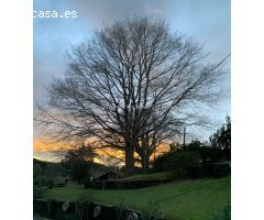 Chalet en Venta en Mungia, Vizcaya