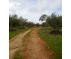 Finca en Venta en Malpartida de Cáceres, Cáceres