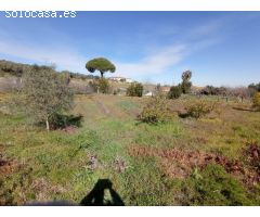 CHALET EN CAMINO VALHONDO- CÁCERES