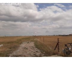 Parcelas de 1.500 metros en Malpartida de Cáceres