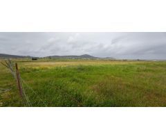 Terreno rural de 24000m2 en Sierra de Fuentes