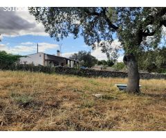 Terreno en el Monte del Casar