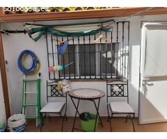 ¡Gran casa reformada con patio en Garrovillas!