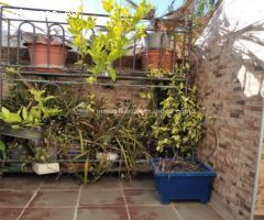 preciosa casa