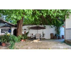 Gran casa con patio en Brozas