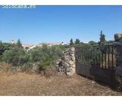 Parcela muy próxima al pueblo de Casas de Don Antonio