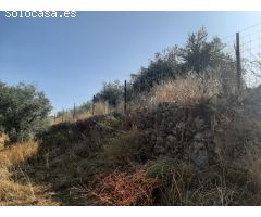 Parcela muy próxima al pueblo de Casas de Don Antonio