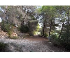 Terreno rústico cerca del pueblo