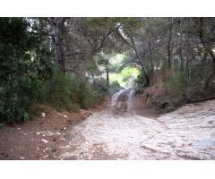 Terreno rústico cerca del pueblo